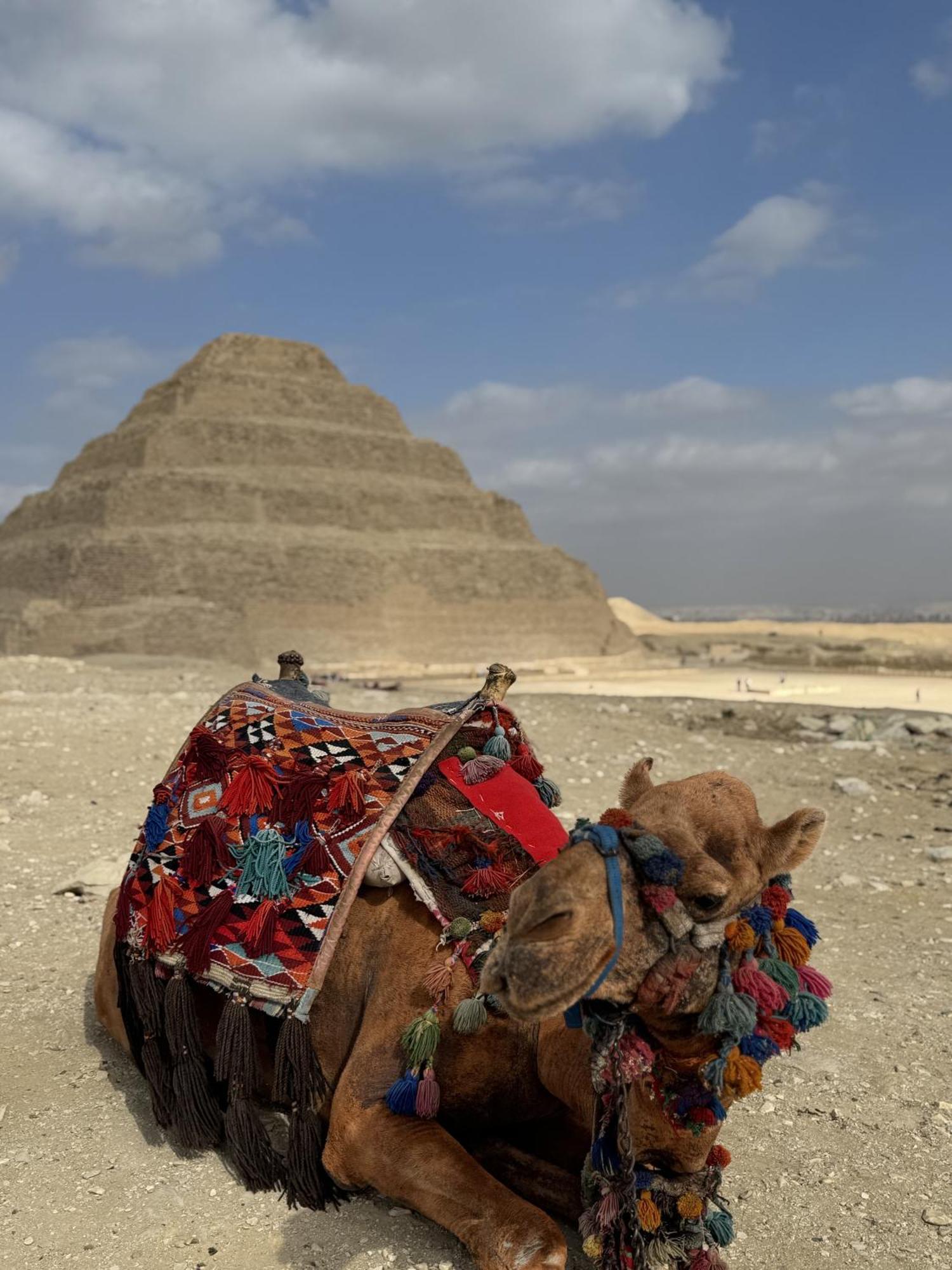 K Boutique Hotel Medspa-Pyramids & Grand Egyptian Museum Ghatati Kültér fotó